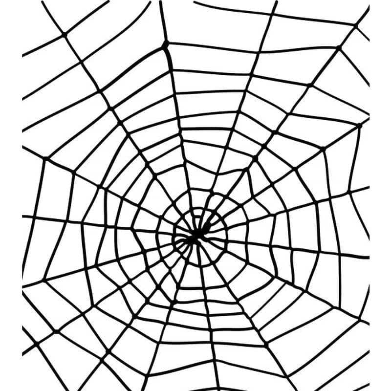 Spider & Spiders Web Adult Black_1