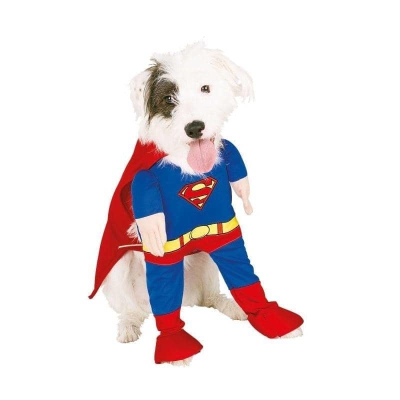 Superman DC Comics Pet Costume_1