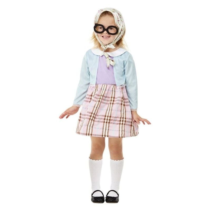 Toddler Old Lady Costume Blue Toddler Old Lady Costume Blue