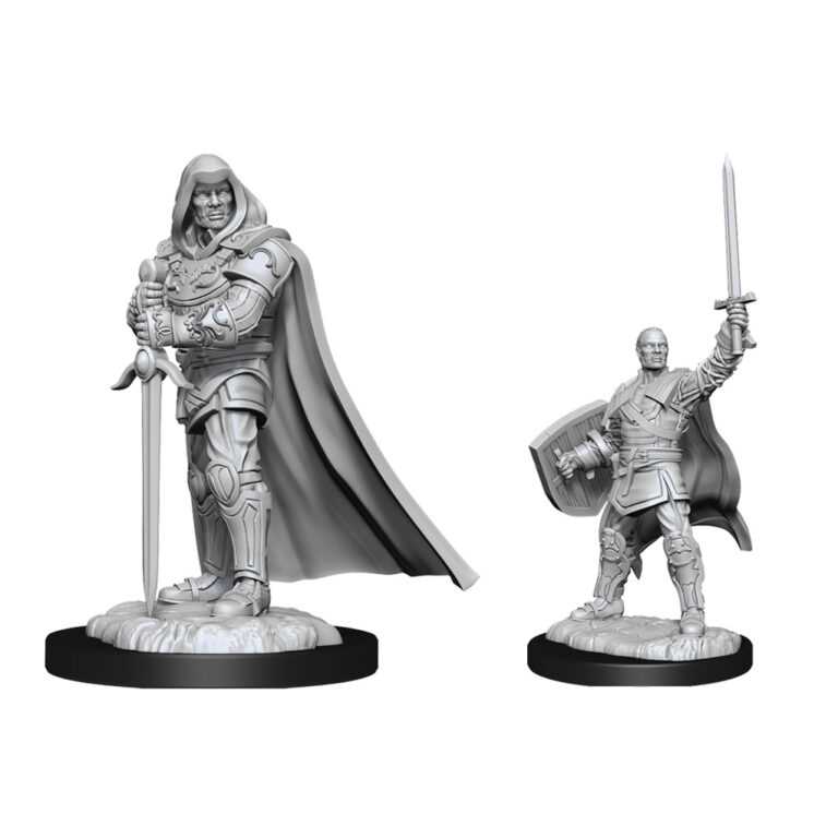 D&D Nolzur's Marvelous Miniatures: Human Paladin Male 1