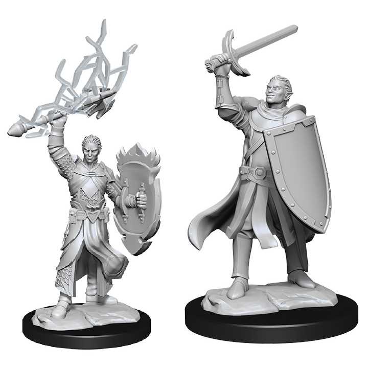 D&D Nolzur's Marvelous Miniatures: Half-Elf Paladin Male 1