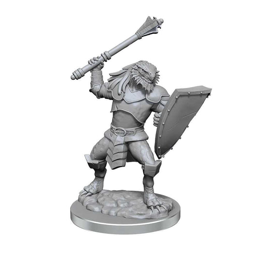Dragonborn Clerics D and D Nolzurs Marvelous Unpainted Miniatures W18 Miniature Game by Wiz Kids 2