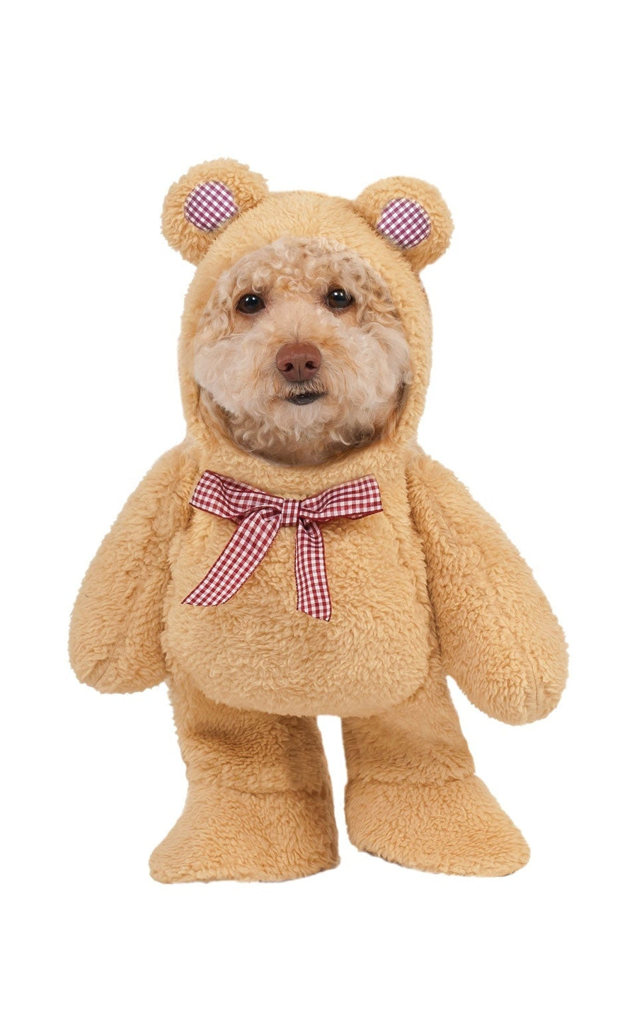 Walking Teddy Bear Pet Costume_1