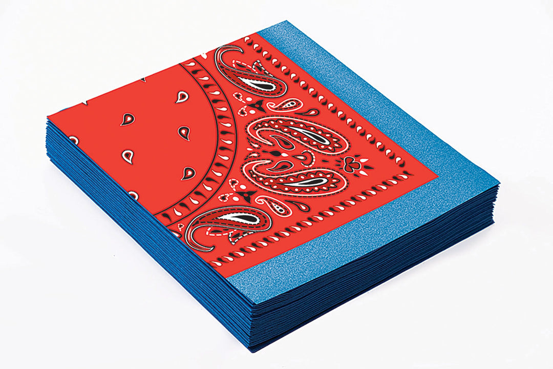 Way Out West Napkin 10'' 16pcs Multi Party Goods Unisex_1