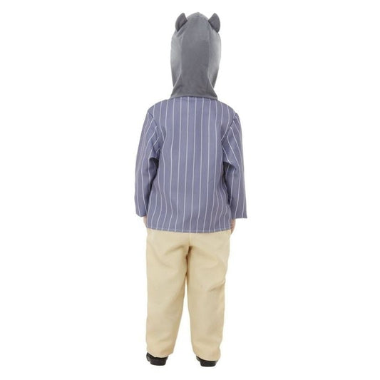 Wind In The Willows Ratty Deluxe Costume Child Blue 2