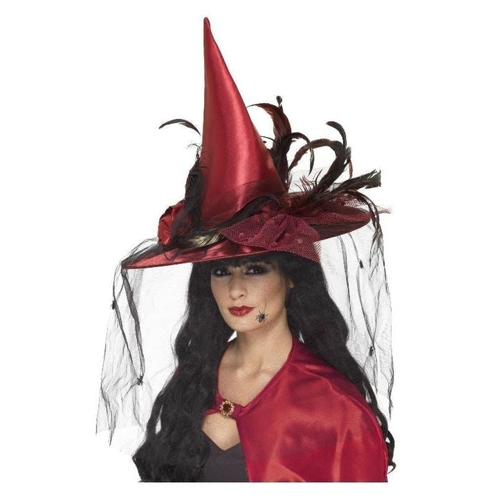 Witches Hat Adult Deep Red Net And Feathers_1