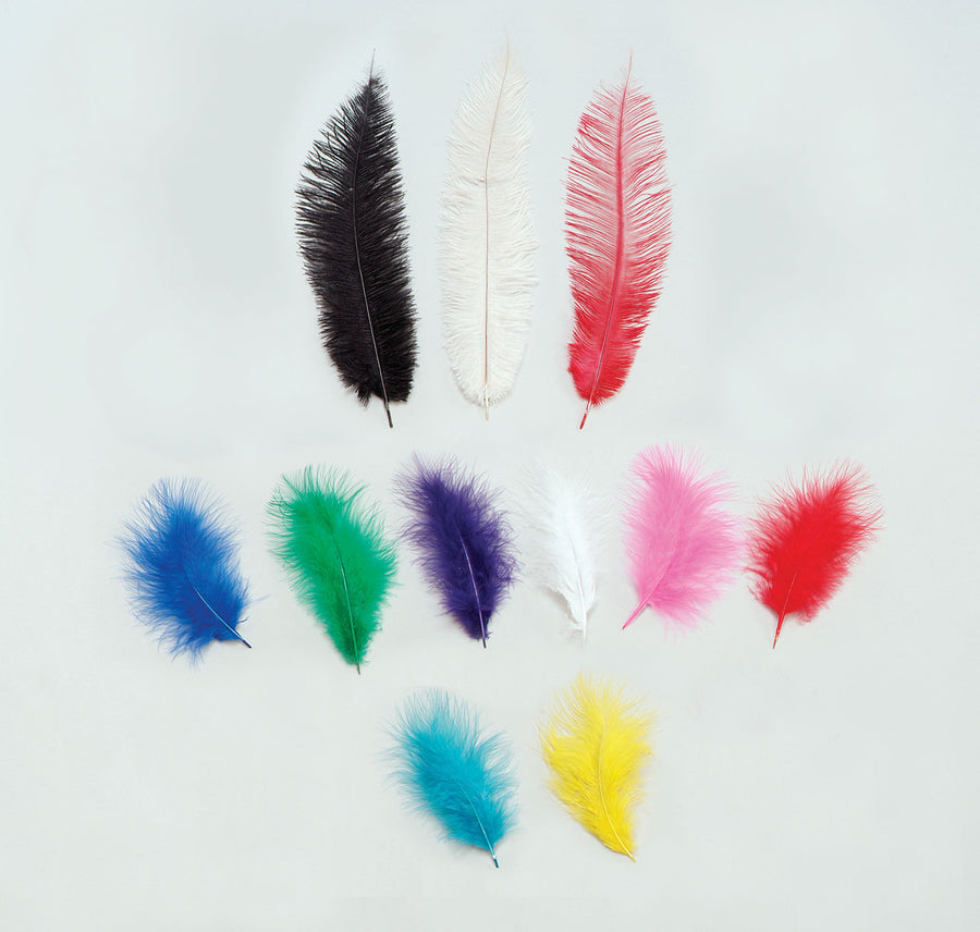 Womens Marabou Turquoise Feathers 12 Pkt Female Packet Halloween Costume_1