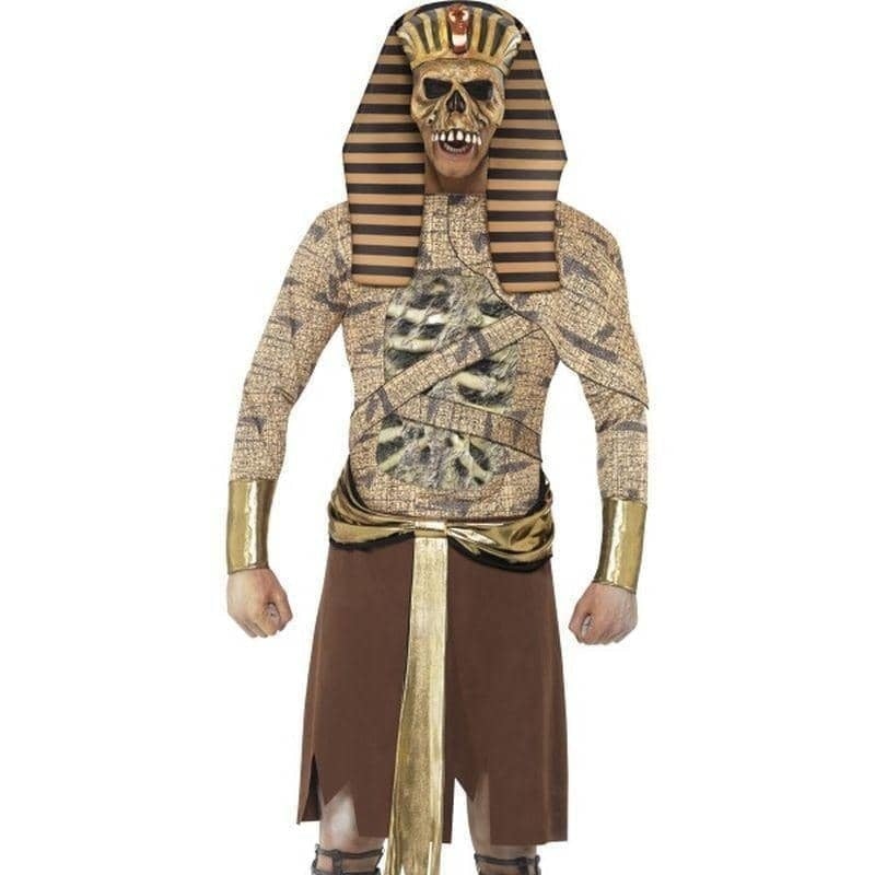 Zombie Pharaoh Adult Tabard Gold Zombie Pharaoh Adult Tabard Gold