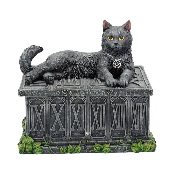 Fortunes Watcher Cat Familiar Tarot Box Fortunes 17cm
