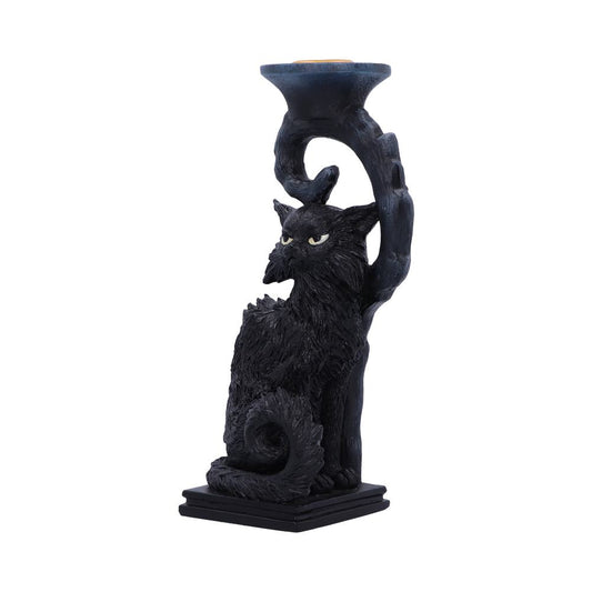 Witches Familiar Salem Candlestick Holder 20cm 2