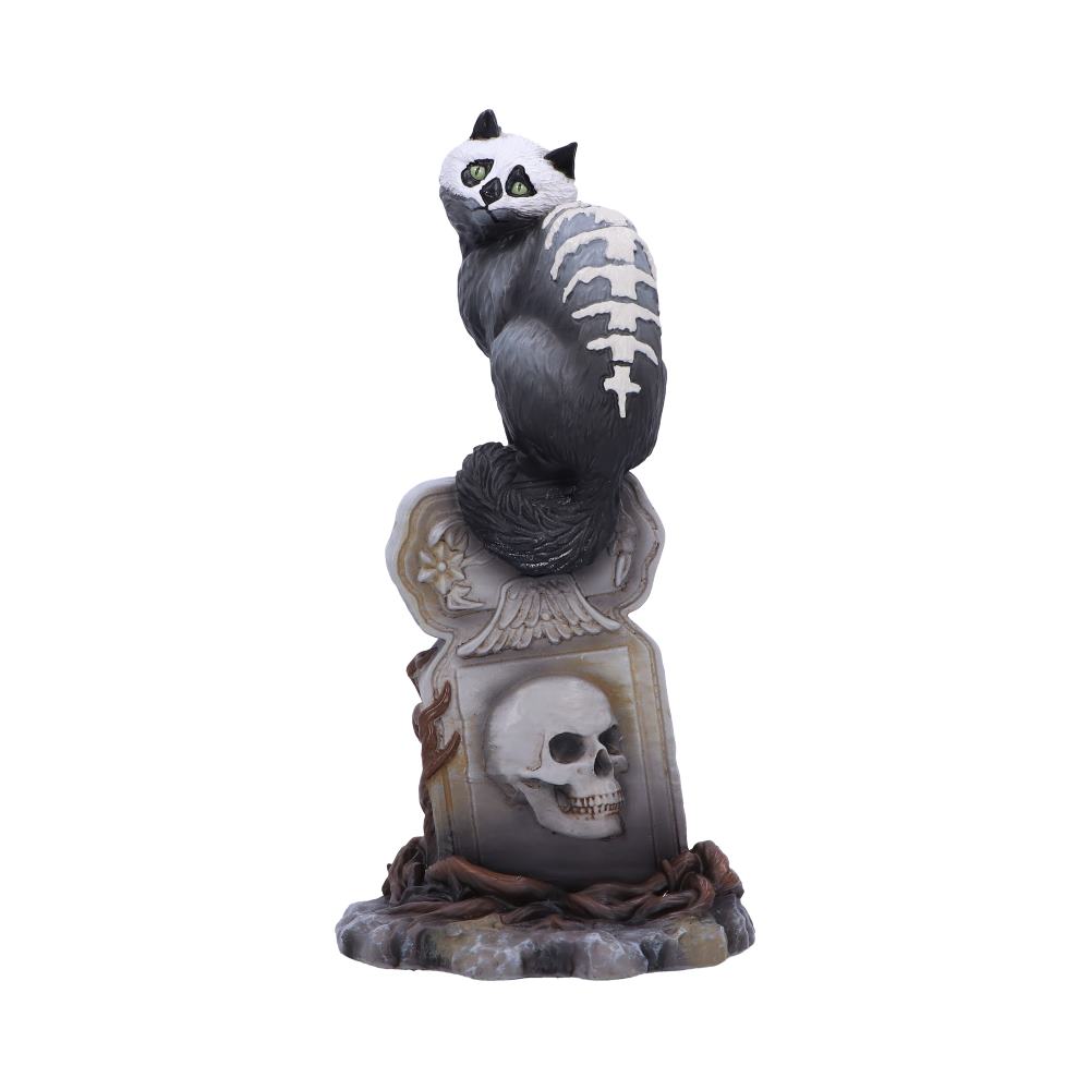 Gothic Skull Cat by Martin Hanford 15cm