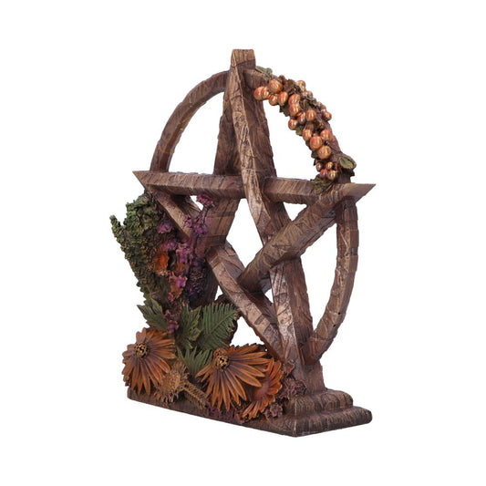 Summer Floral Decorative Pentagram Ornament Season of the Litha 16.5cm 2