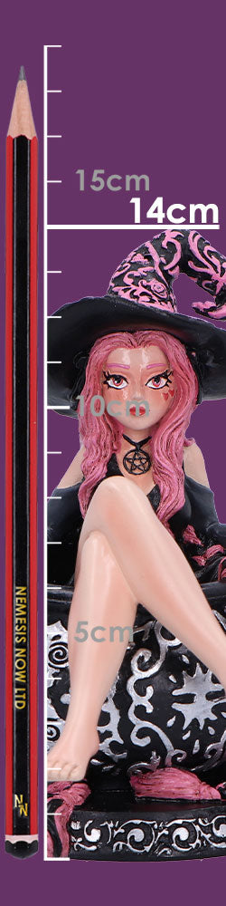 Baie Rose Sugar Spice Witch Figurine 14.5cm 8