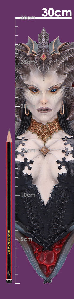 Diablo IV Wall Plaque Featuring Lilith 30cm 8