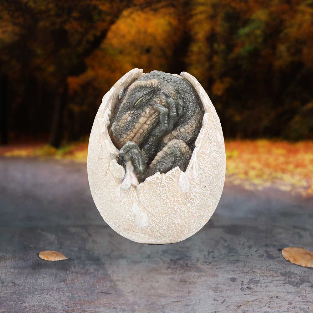 Wyrmlings Dragon Egg First Light 12cm 7
