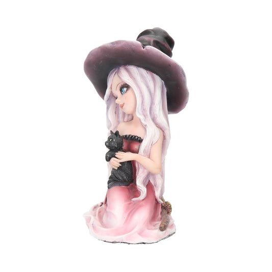 Rosa Figurine Witch Black Cat Ornament 15cm 2