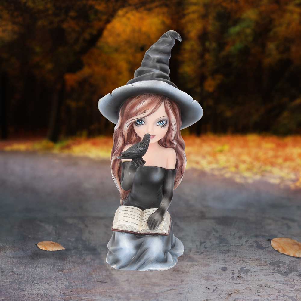 Regan Witch Her Raven Figurine 15cm 7