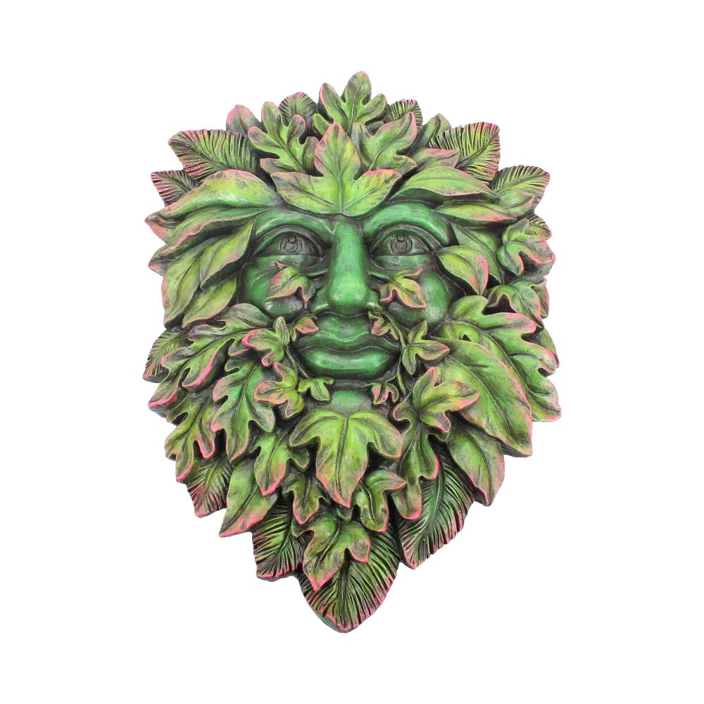 Beltanes Bourgeon Wall Hanging Mounted Tree Spirit Green Man Beltanes 29cm