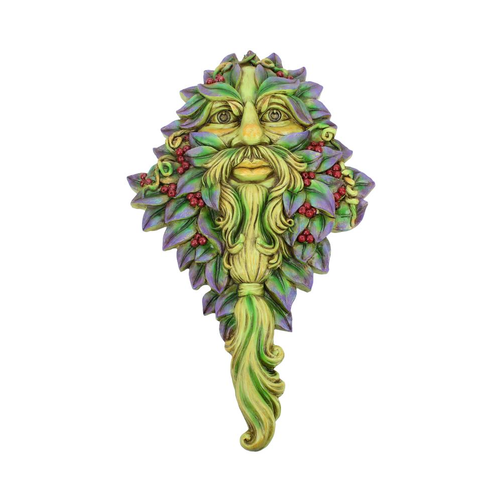 Winters Watch Wall Hanging Mounted Tree Spirit Green Man 33.5cm