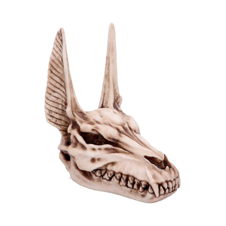 Anubis Egyptian God of the Dead Skull Ornament 17cm