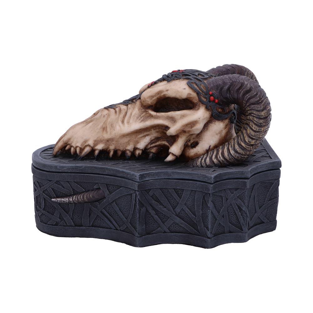 Dragon Skull Box Monte Moore 17.7cm