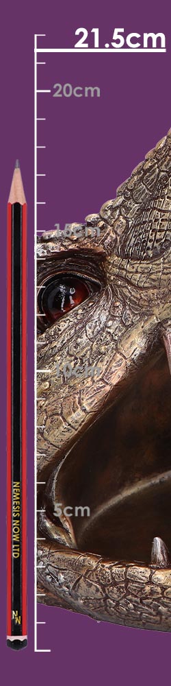 Metallic Tyrannosaurus Rex Head Trinket Dish 24cm 8