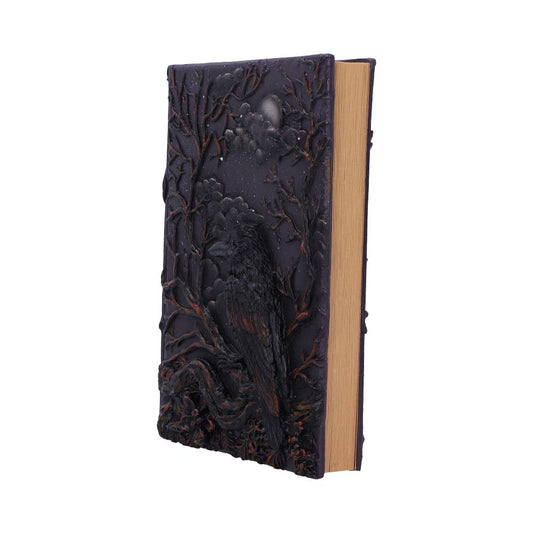 Ravens Grimoire Journal 19cm 2