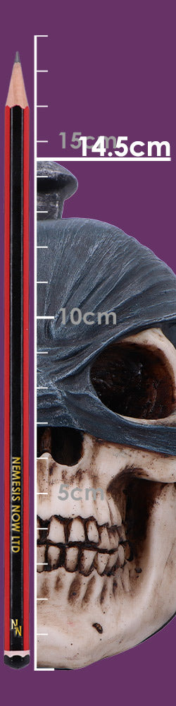 Penance of Iron Gothic Skull Figurine 14.5cm 8