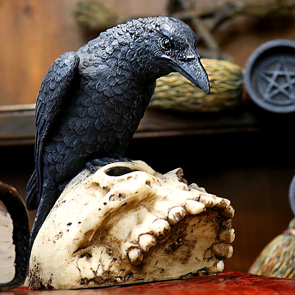 Raven Remains Figurine Crow Skull Gothic Ornament Ravens 13cm 7