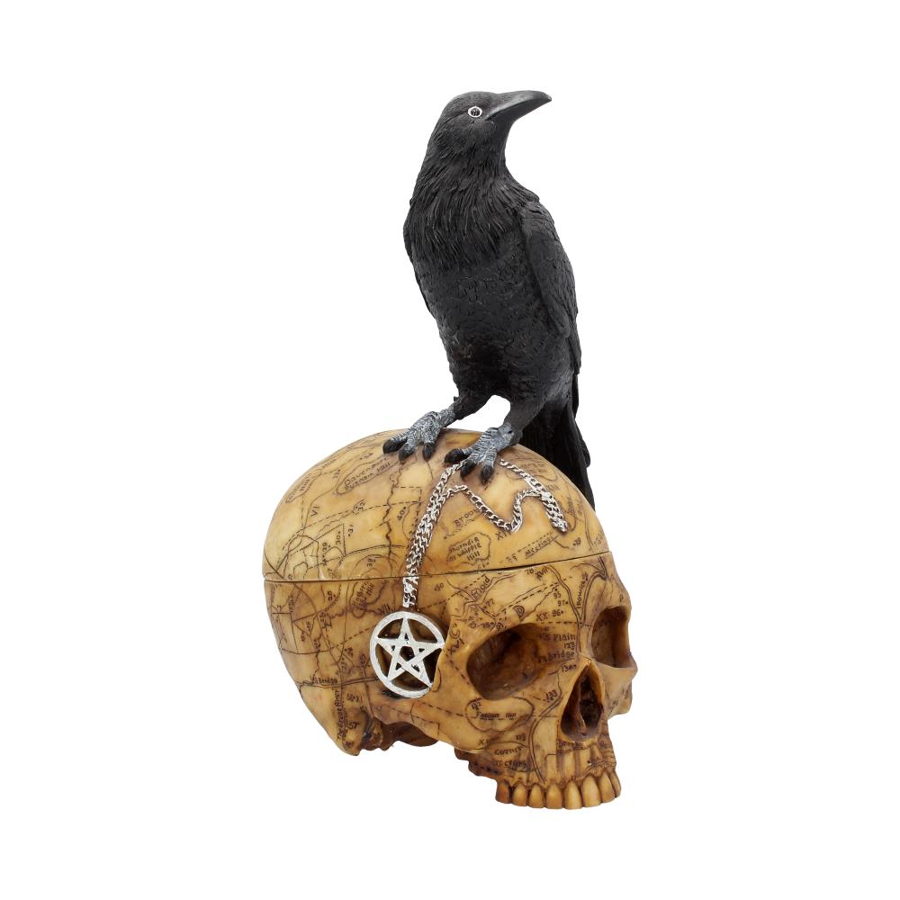 Salems Familiar Box Gothic Raven Skull Witch Pentagram Trinket 27cm