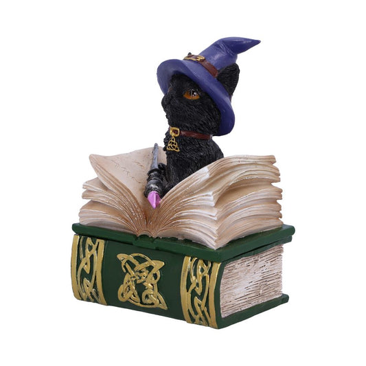 Binx Small Witches Familiar Black Cat and Spellbook Figurine Box 11cm Hocus Pocus Feline 2