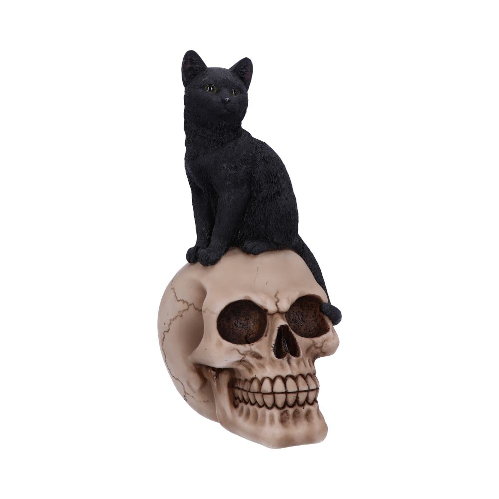 Familiar Fate Black Witches Cat and Skull Figurine 24.3cm