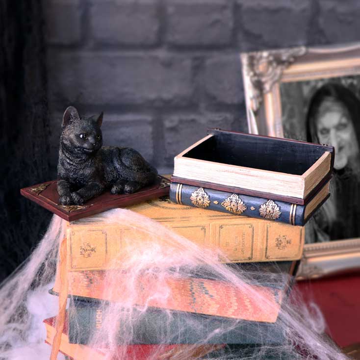 Salems Spells Witches Familiar Black Cat and Spellbook Box 11.7cm 8