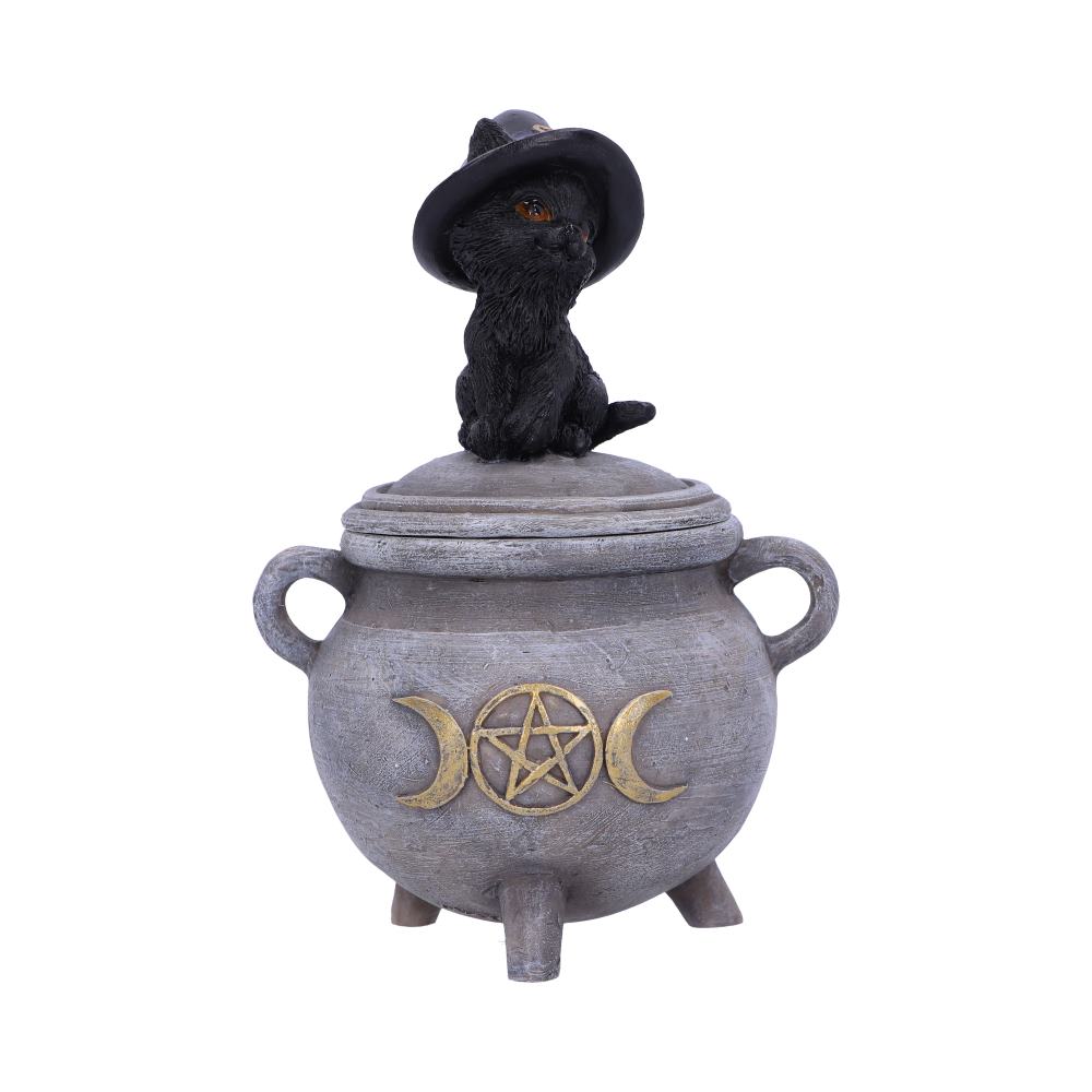 Witch Cat Cauldron Box 14cm Kittys Brew