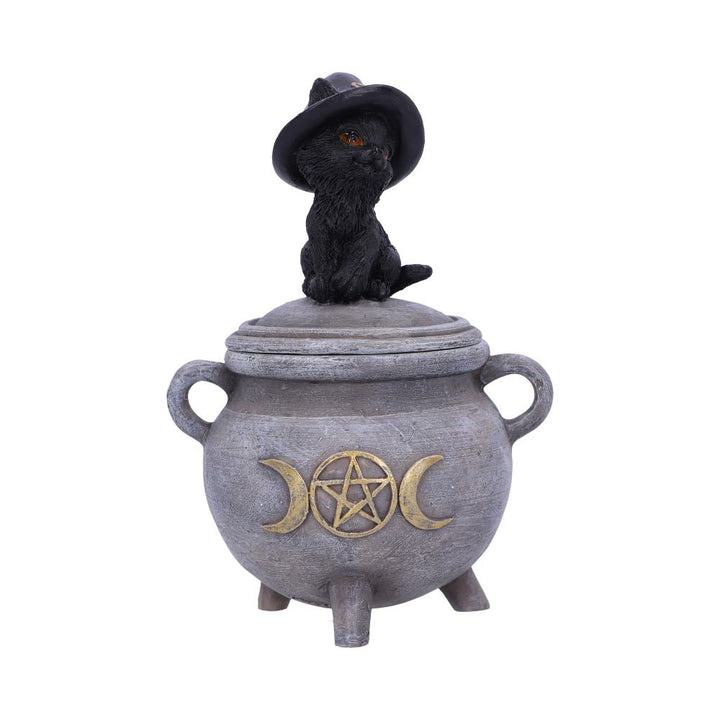 Witch Cat Cauldron Box 14cm Kittys Brew