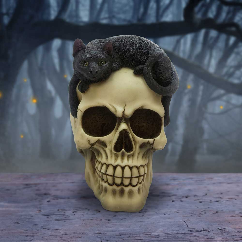 Forever Friend Black Cat Skull Head 14.5cm 7