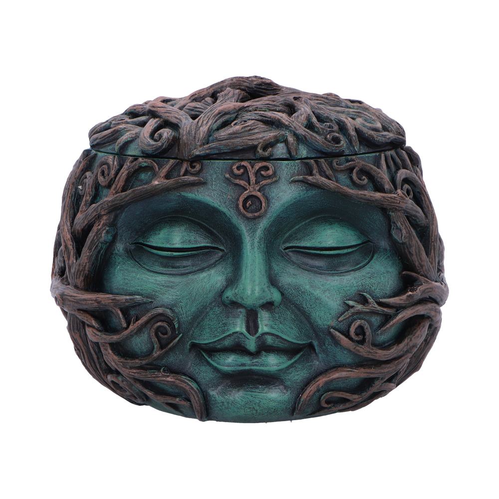 Tree Spirit Head Treasure Box 13cm