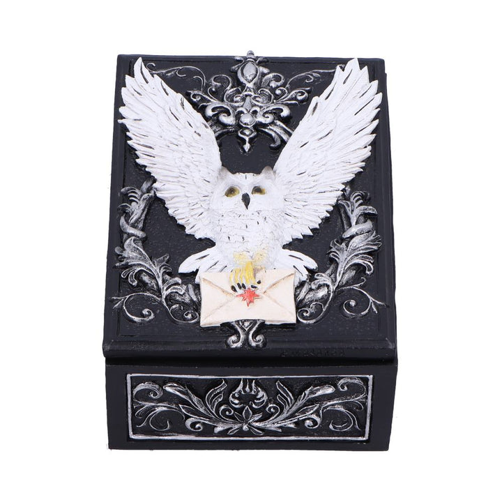 Owl Messenger Trinket Box 14cm