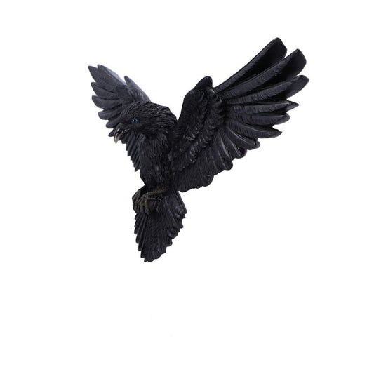 Flight of the Raven Wall Hanging Decoration 35cm 2