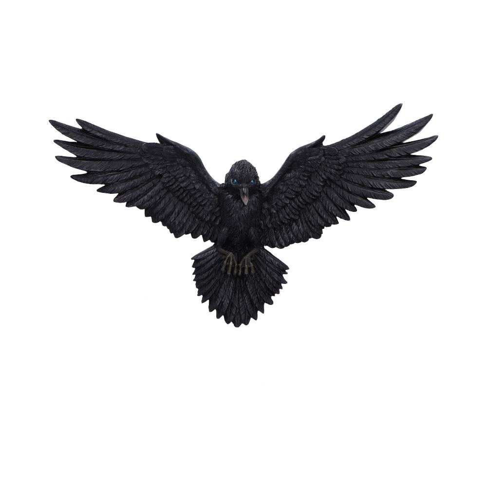 Flight of the Raven Wall Hanging Decoration 35cm