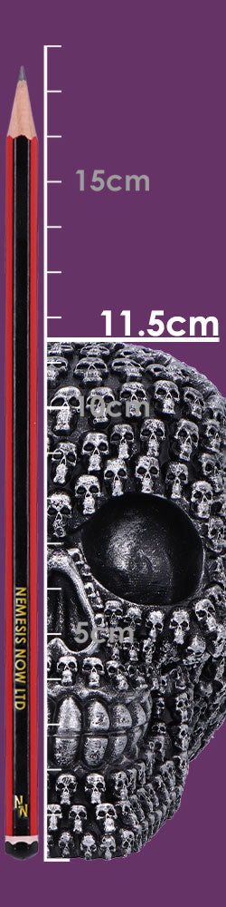 Crania Decorative Resin Skull 15cm 8