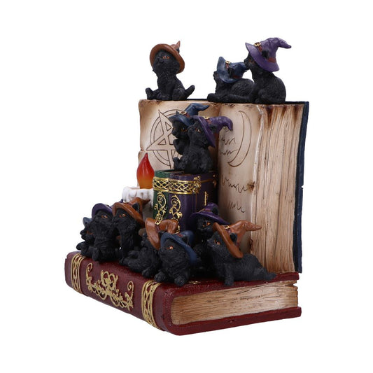 Coven Keepers Display Stand with 36 Pieces 2