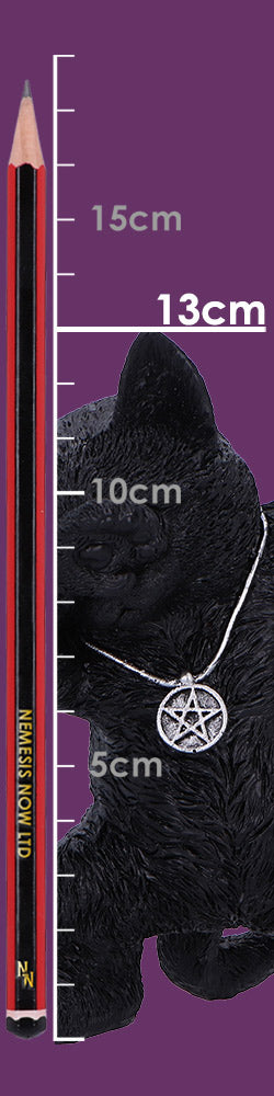 Hex and Flex Humorous Gothic Black Cat Figurine 13.5cm 8