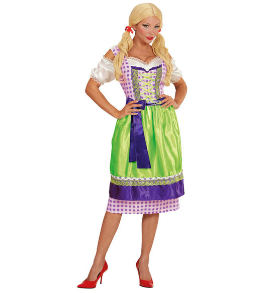 Dirndl  Dress With Apron 