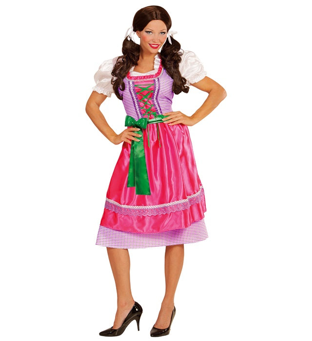 Dirndl  Dress With Apron 