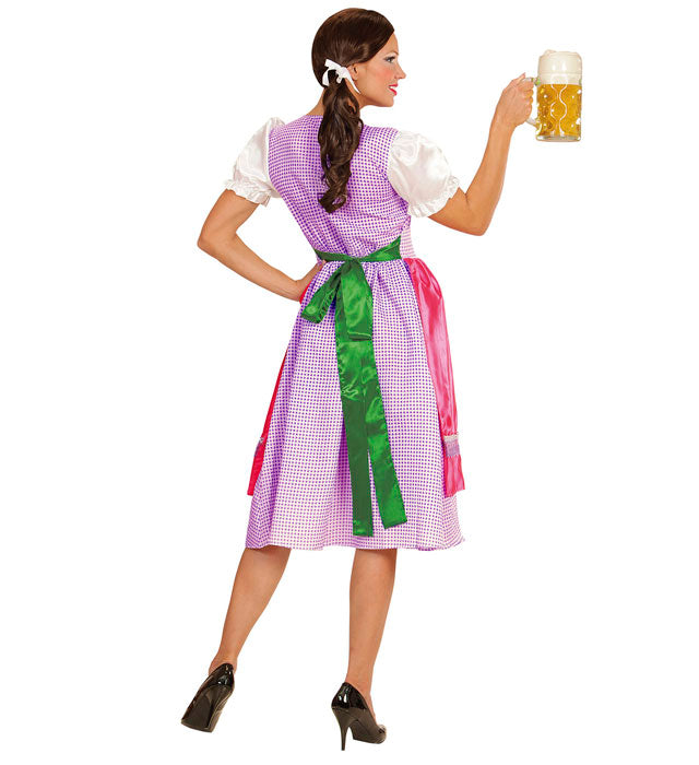 Dirndl  Dress With Apron 