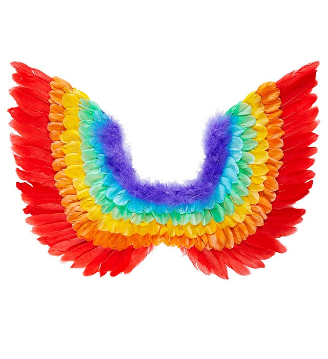Rainbow Feathered Wings 60X40 Cm