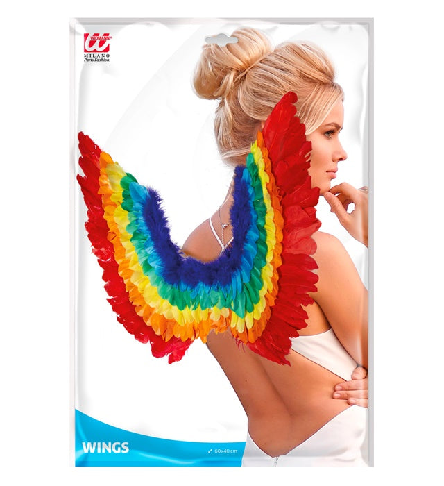 Rainbow Feathered Wings 60X40 Cm