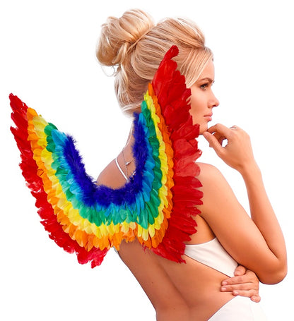 Rainbow Feathered Wings 60X40 Cm