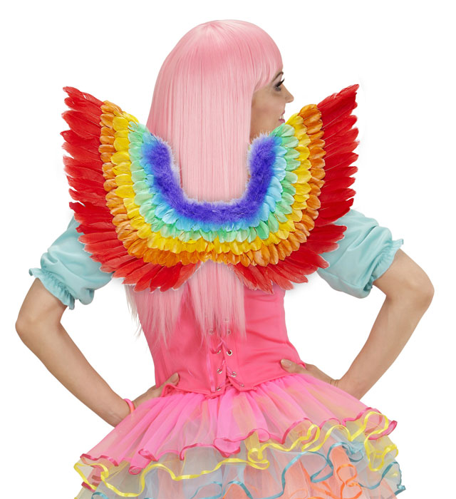 Rainbow Feathered Wings 60X40 Cm
